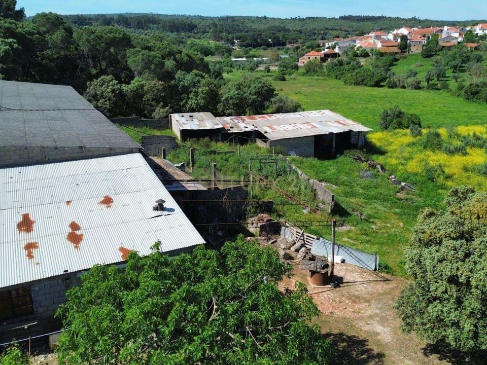 Helårsgrund i Pombal, Leiria - foto 4
