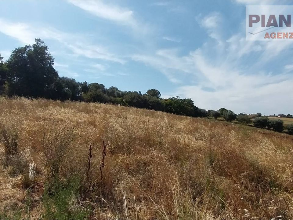 Helårsgrund i Spinetoli, Ascoli Piceno - foto 2