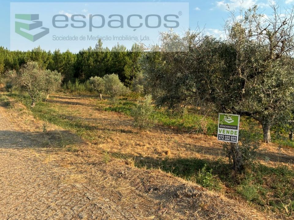 Helårsgrund i Fundao, Castelo Branco - foto 1