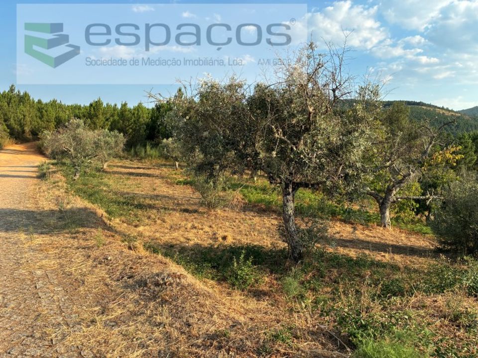 Helårsgrund i Fundao, Castelo Branco - foto 2