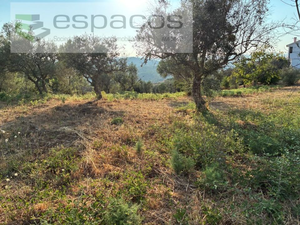 Helårsgrund i Fundao, Castelo Branco - foto 3