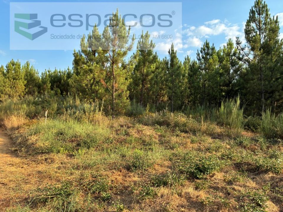 Helårsgrund i Fundao, Castelo Branco - foto 4