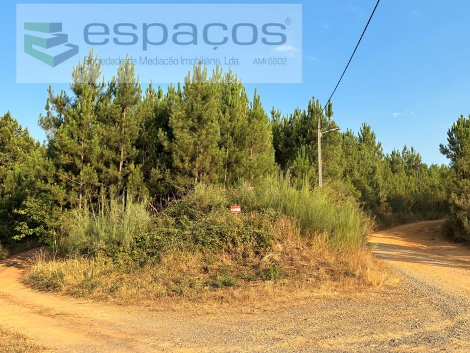 Helårsgrund i Fundao, Castelo Branco - foto 5