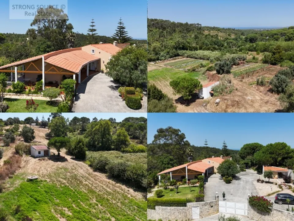 Farm i Sesimbra, Setubal - foto 1