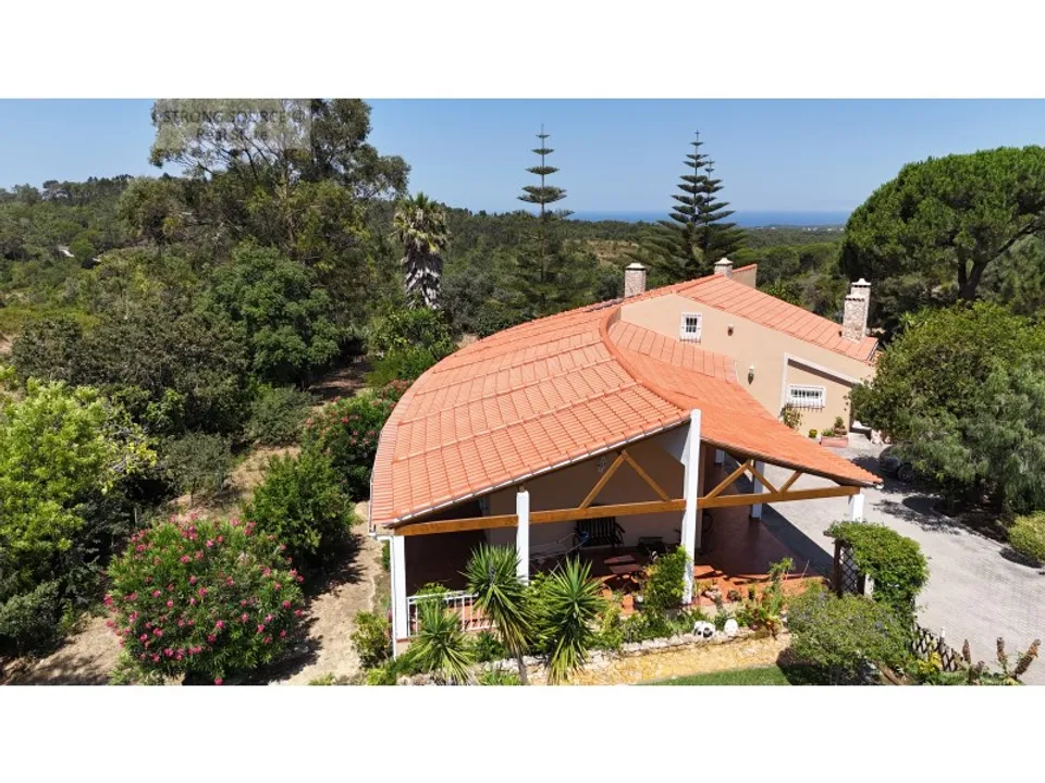 Farm i Sesimbra, Setubal - foto 3
