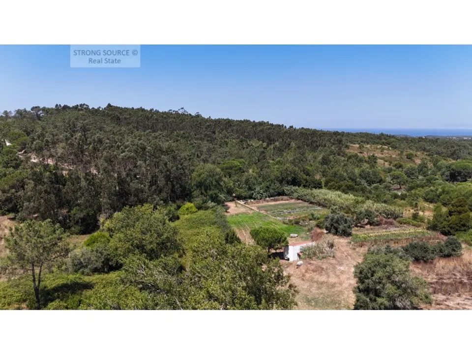 Farm i Sesimbra, Setubal - foto 4