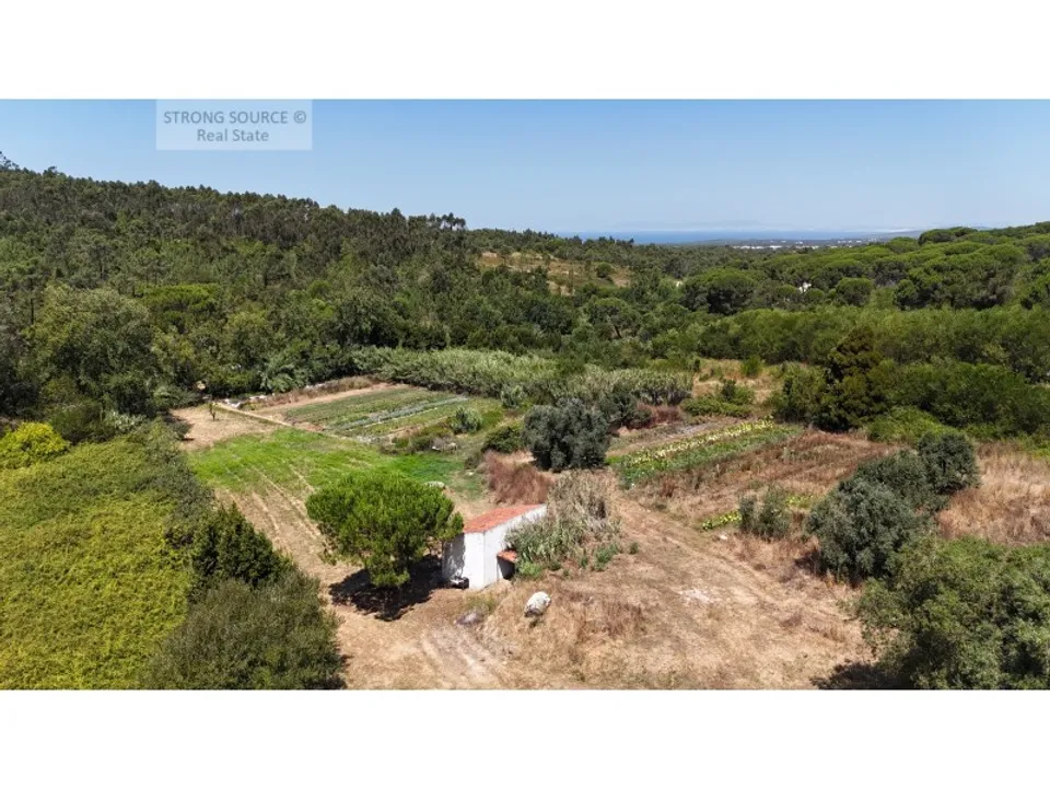 Farm i Sesimbra, Setubal - foto 5