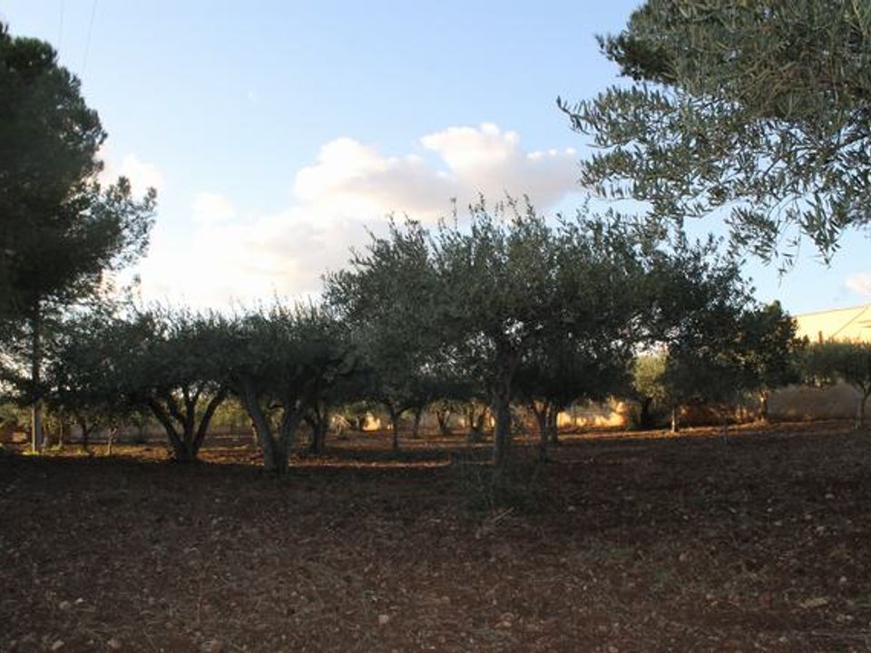 Villa en Ribera, Agrigento - foto 2