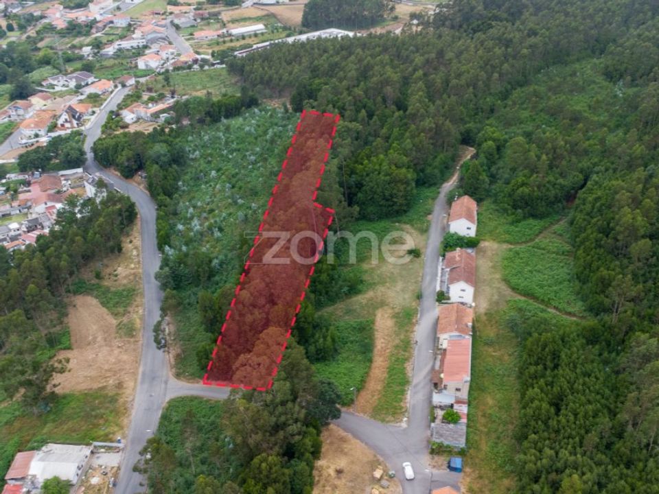 Tomt i Grijo, Porto - bilde 1