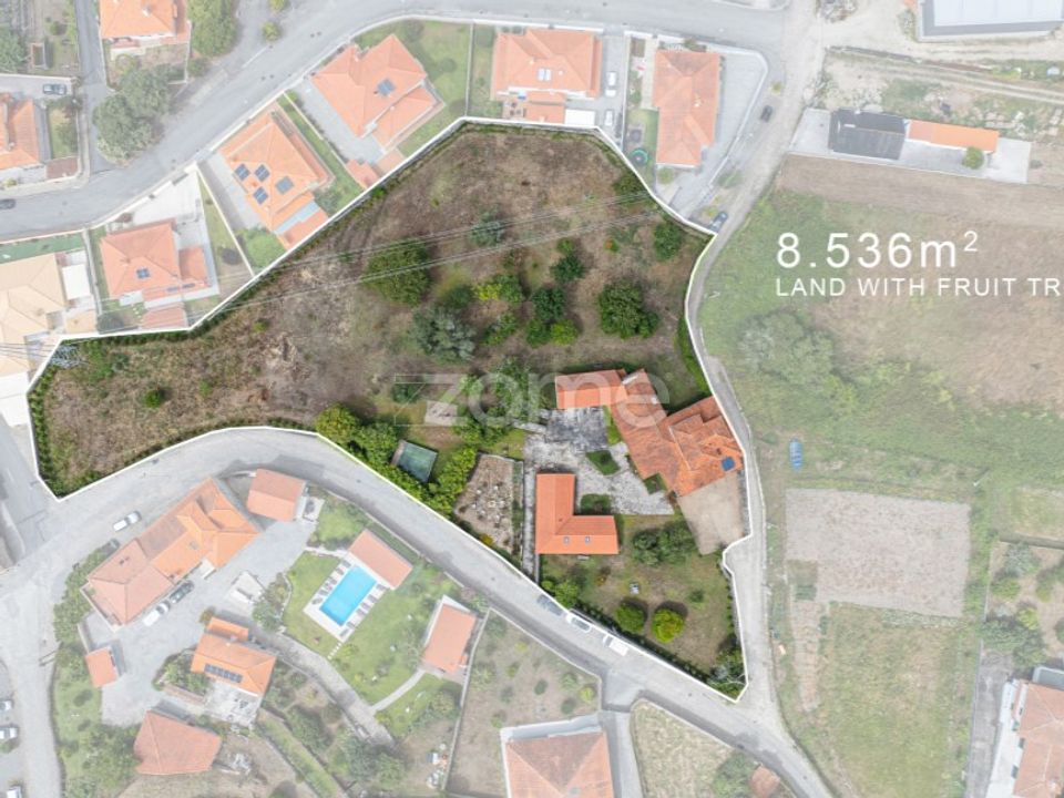 Farm i Vila Praia de Ancora, Viana do Castelo - foto 3