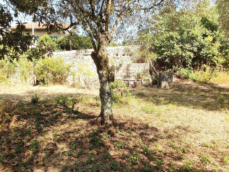 Tomt i Antuzede e Vil de Matos, Coimbra - bilde 1