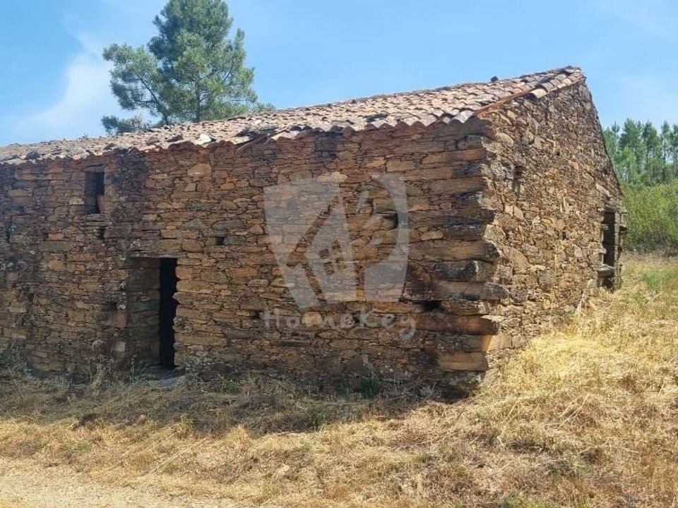 Ruinere i Castelo Branco, Castelo Branco - foto 1