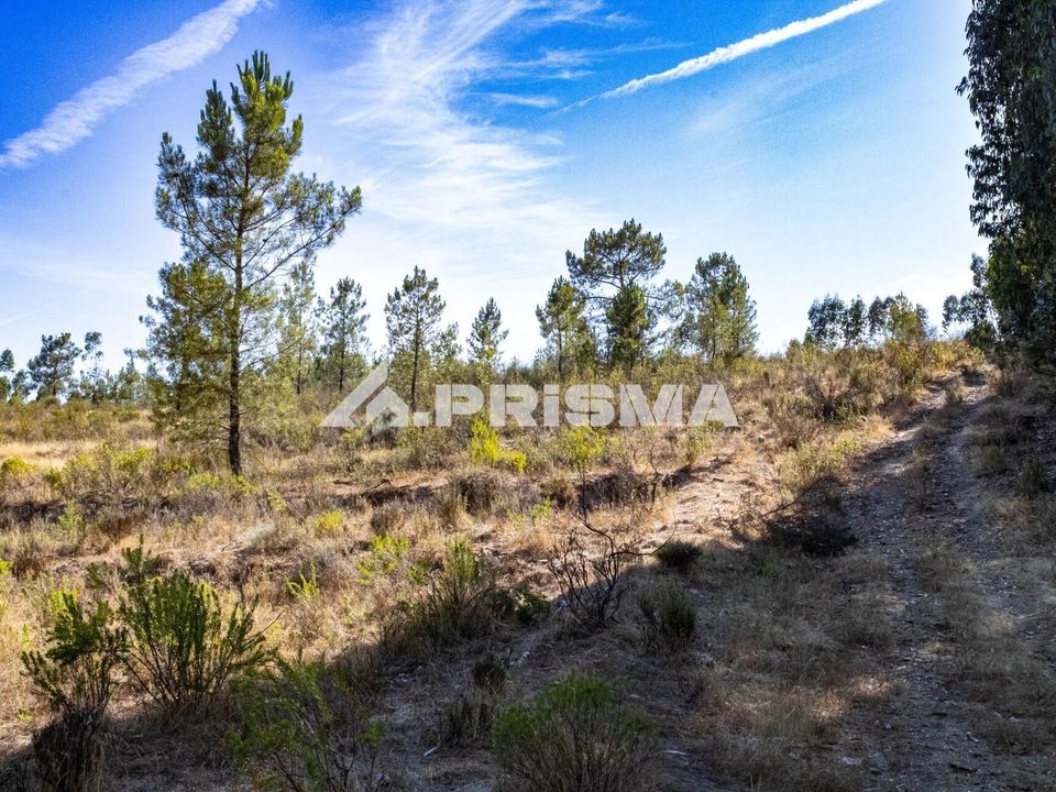Helårsgrund i Castelo Branco, Castelo Branco - foto 4