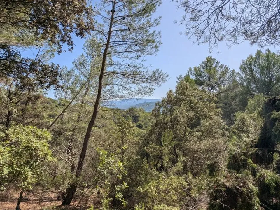 Tomt i Brunet, Alpes-de-Haute-Provence - bilde 1