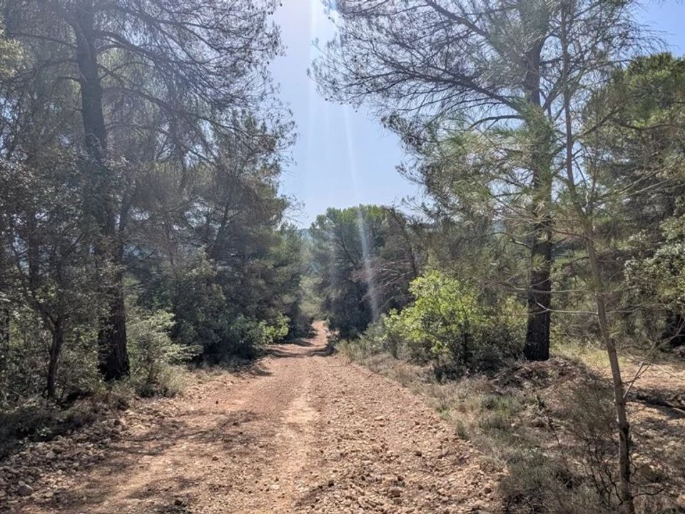 Tomt i Brunet, Alpes-de-Haute-Provence - bilde 5