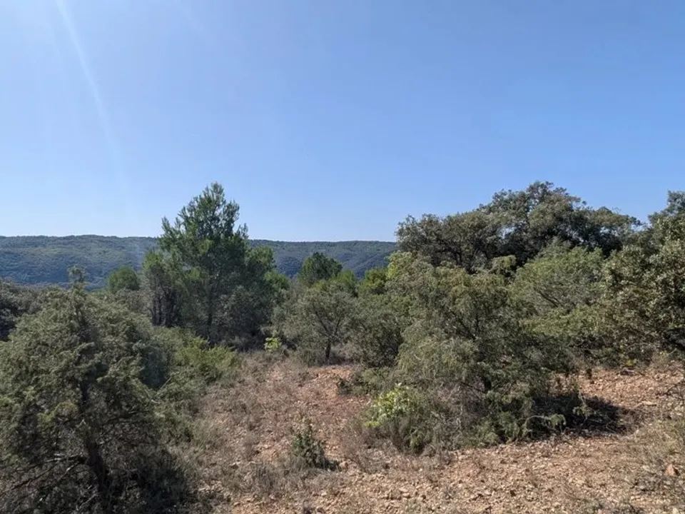 Tomt i Brunet, Alpes-de-Haute-Provence - bilde 1