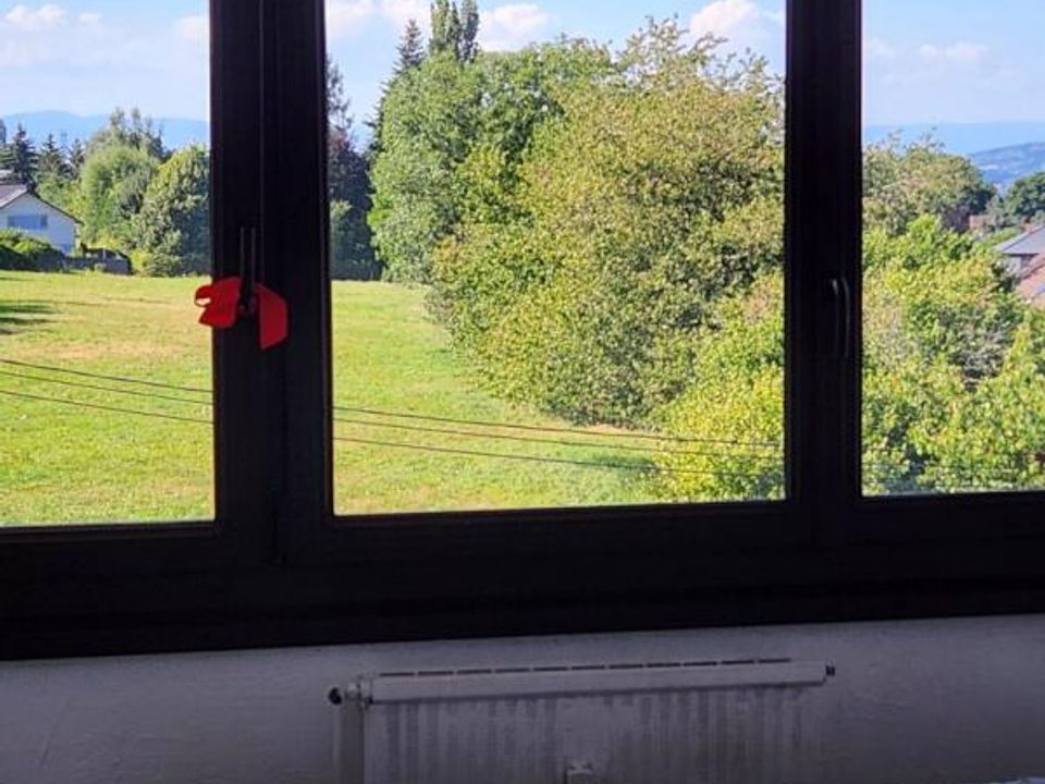 Lejlighed i La Roche-sur-Foron, Haute-Savoie - foto 1