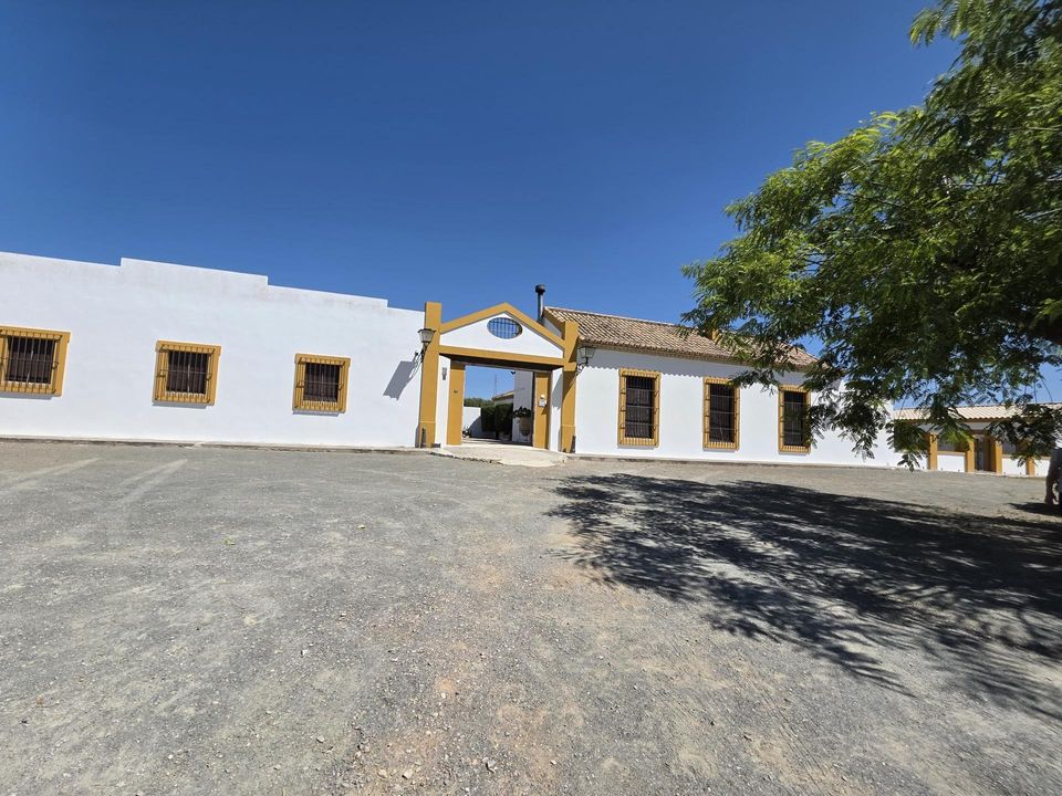 Landejendom i Moron De La Frontera, Sevilla - foto 3