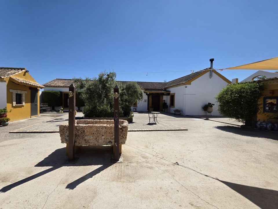 Landejendom i Moron De La Frontera, Sevilla - foto 5