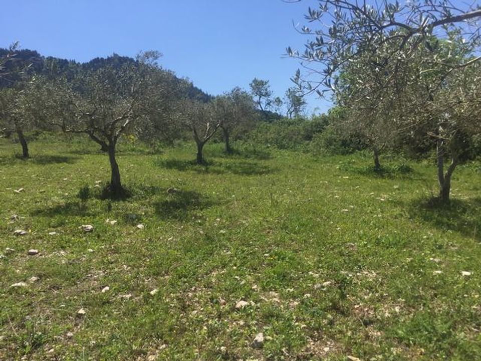 Helårsgrund i Santo Stefano Quisquina, Agrigento - foto 4
