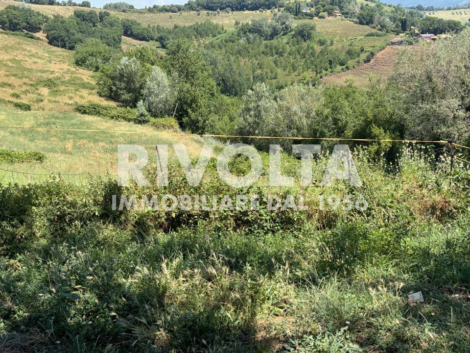 Terreno en Collevecchio, Rieti - foto 2