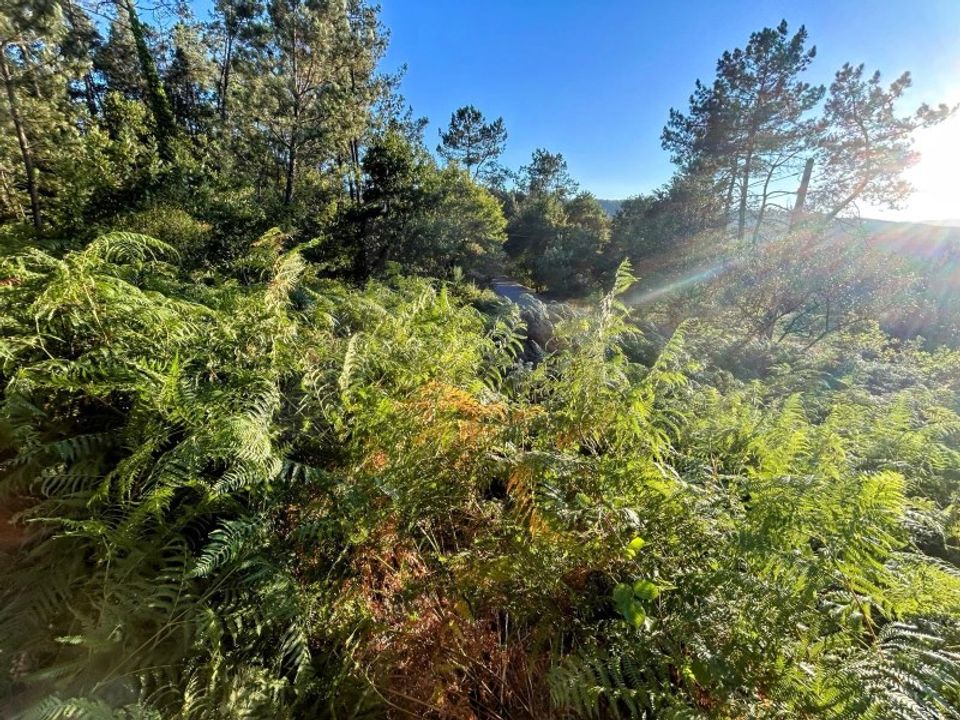 Helårsgrund i Paredes de Coura, Viana do Castelo - foto 4