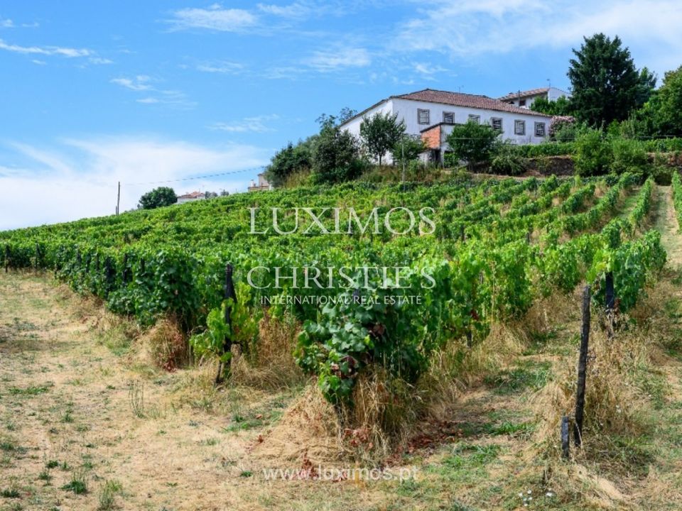 Farm i Santa Marta de Penaguiao, Vila Real - foto 2
