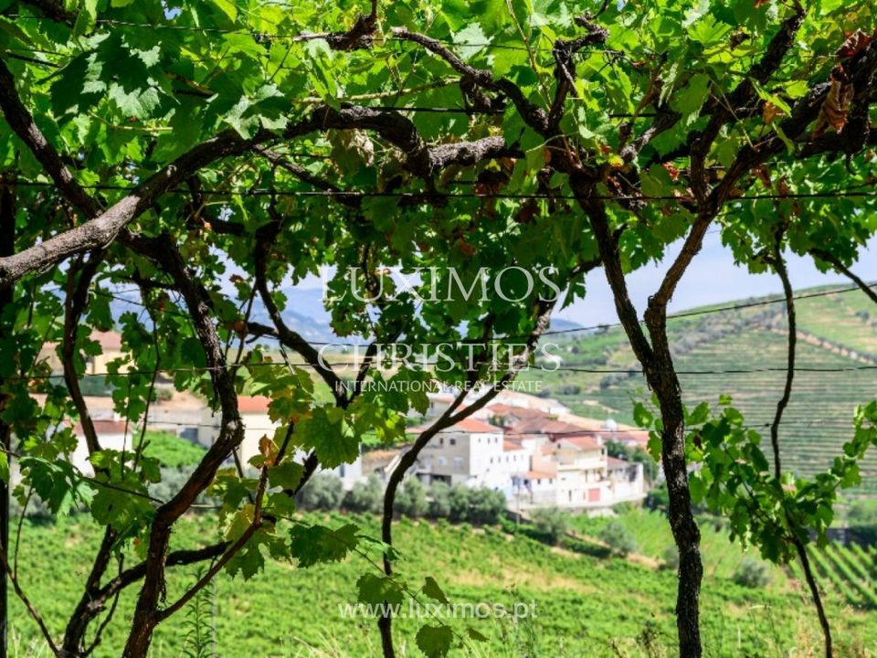 Farm i Santa Marta de Penaguiao, Vila Real - foto 3