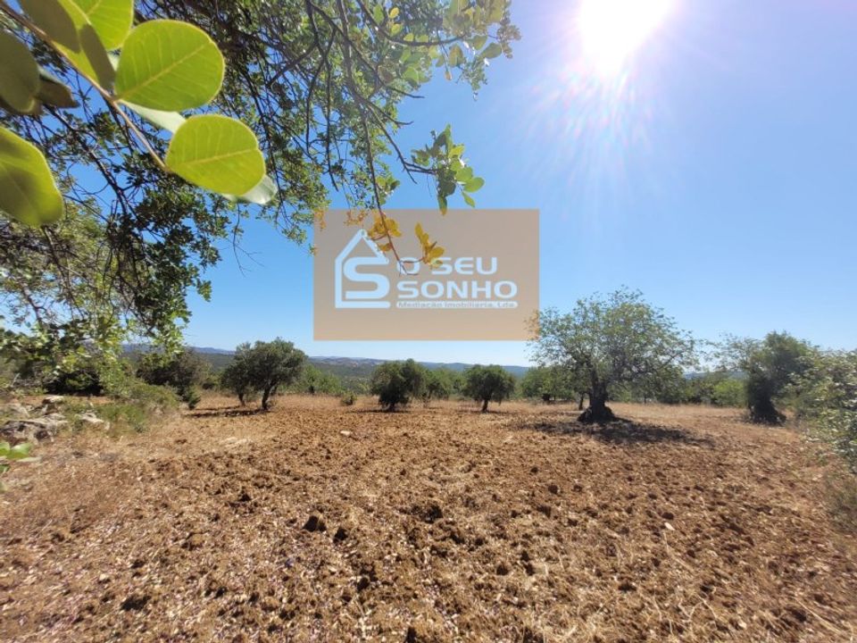 Helårsgrund i Sao Bras de Alportel, Faro - foto 1