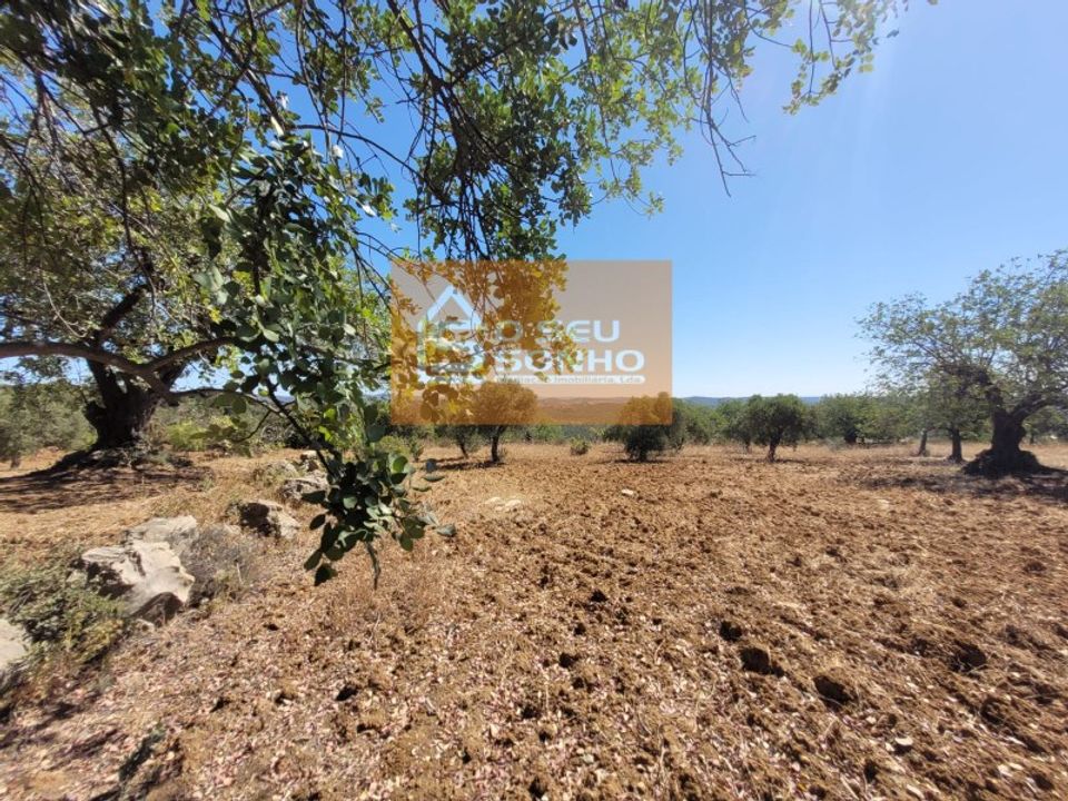 Helårsgrund i Sao Bras de Alportel, Faro - foto 3