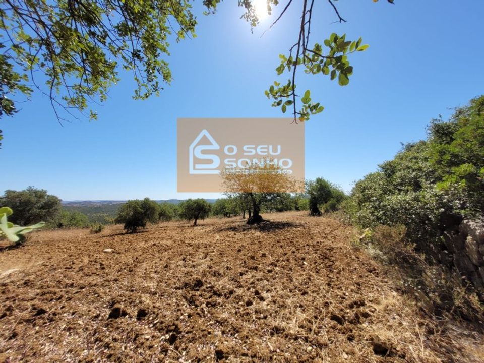 Helårsgrund i Sao Bras de Alportel, Faro - foto 4