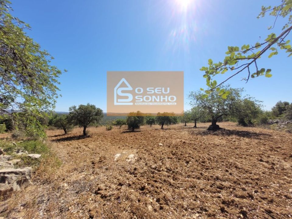 Helårsgrund i Sao Bras de Alportel, Faro - foto 5