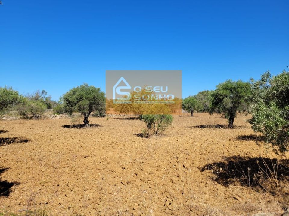 Helårsgrund i Sao Bras de Alportel, Faro - foto 1