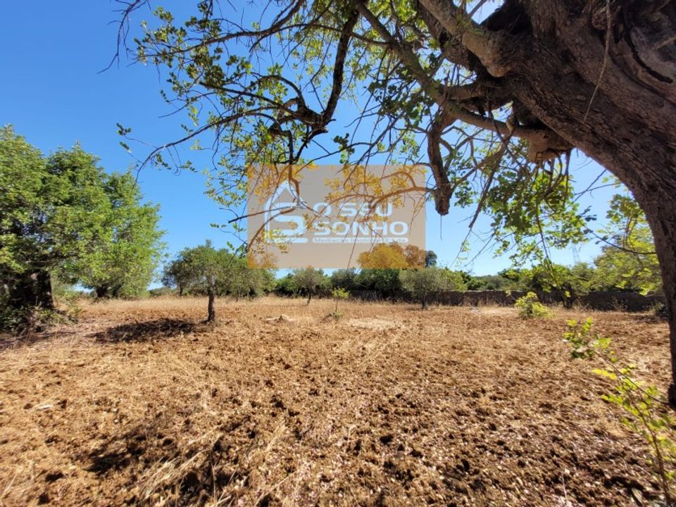 Helårsgrund i Sao Bras de Alportel, Faro - foto 2