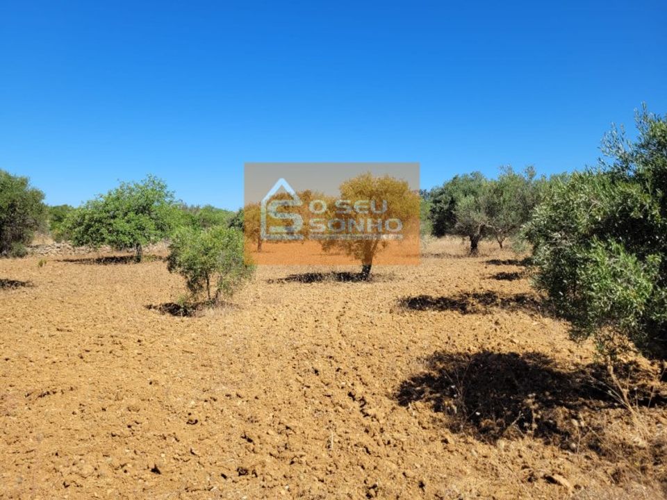 Helårsgrund i Sao Bras de Alportel, Faro - foto 4