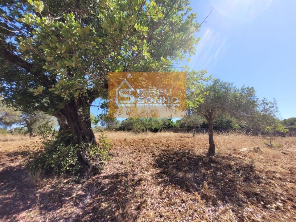 Helårsgrund i Sao Bras de Alportel, Faro - foto 5