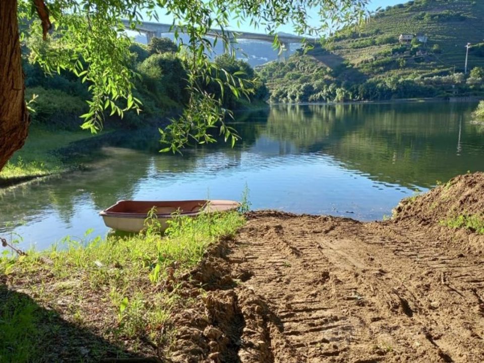 Farm i Lamego, Viseu - foto 1