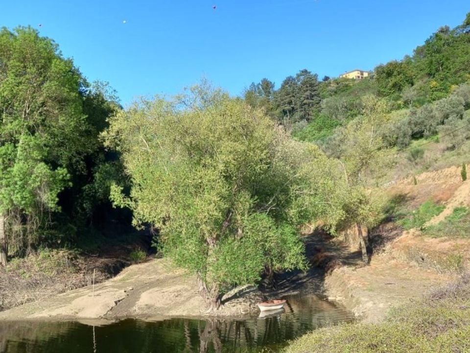 Farm i Lamego, Viseu - foto 3