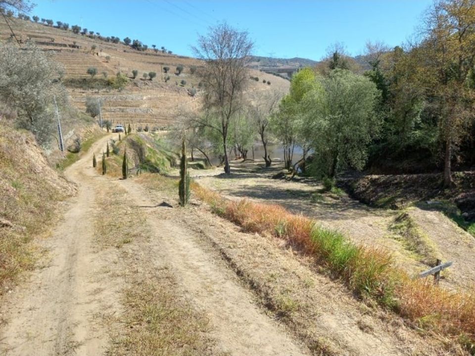 Farm i Lamego, Viseu - foto 4