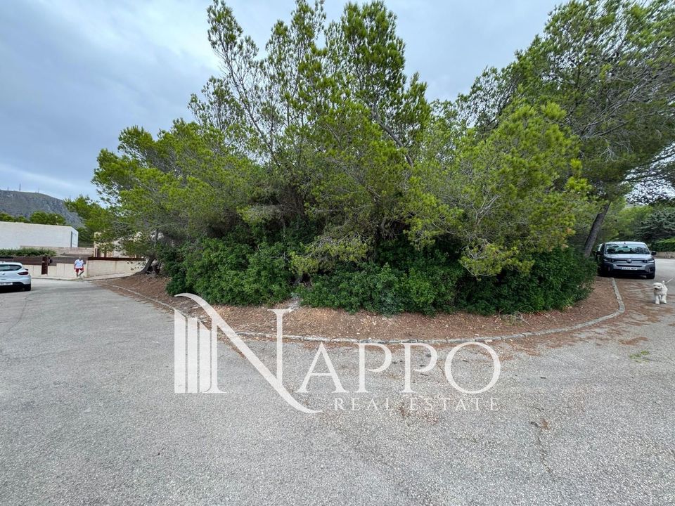 Finca i Arta, Mallorca - foto 5
