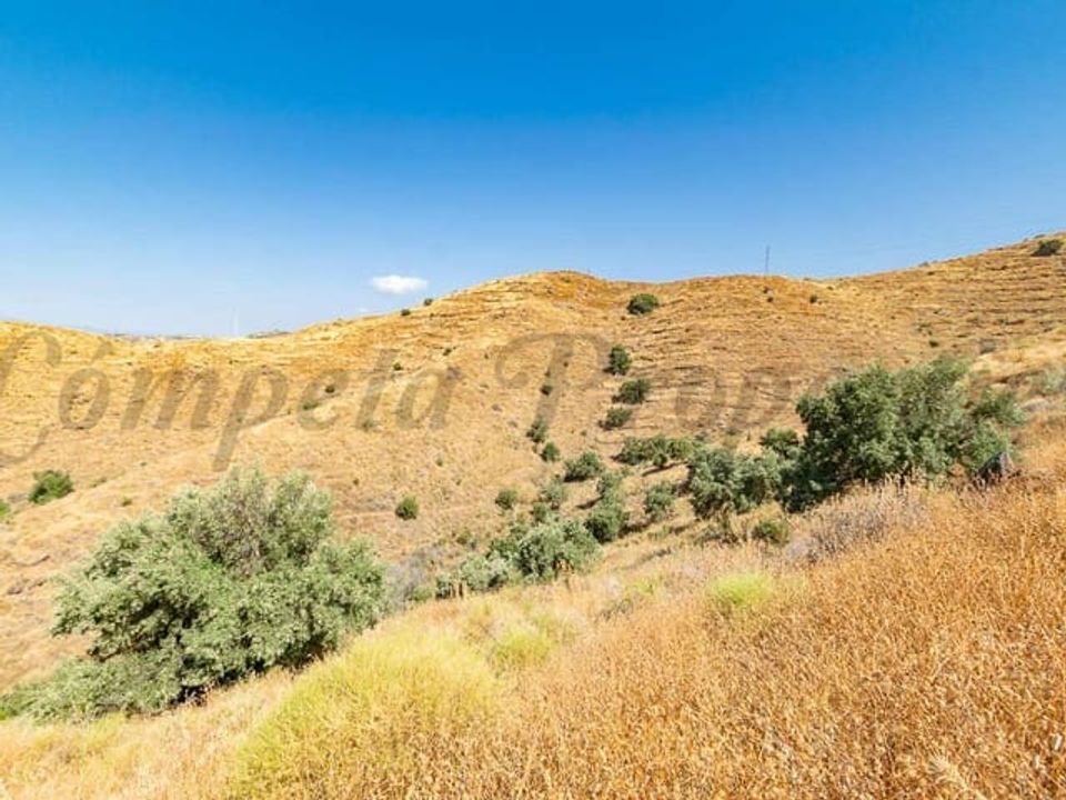 Helårsgrund i Torrox, Malaga - foto 4