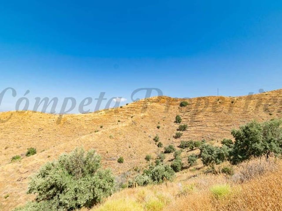 Helårsgrund i Torrox, Malaga - foto 5