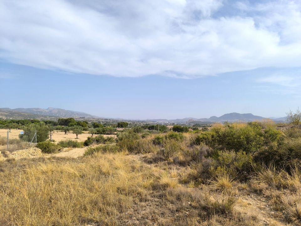 Helårsgrund i Sax, Alicante - foto 3