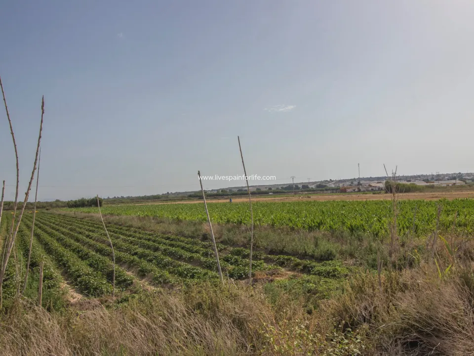 Helårsgrund i San Fulgencio, Alicante - foto 3
