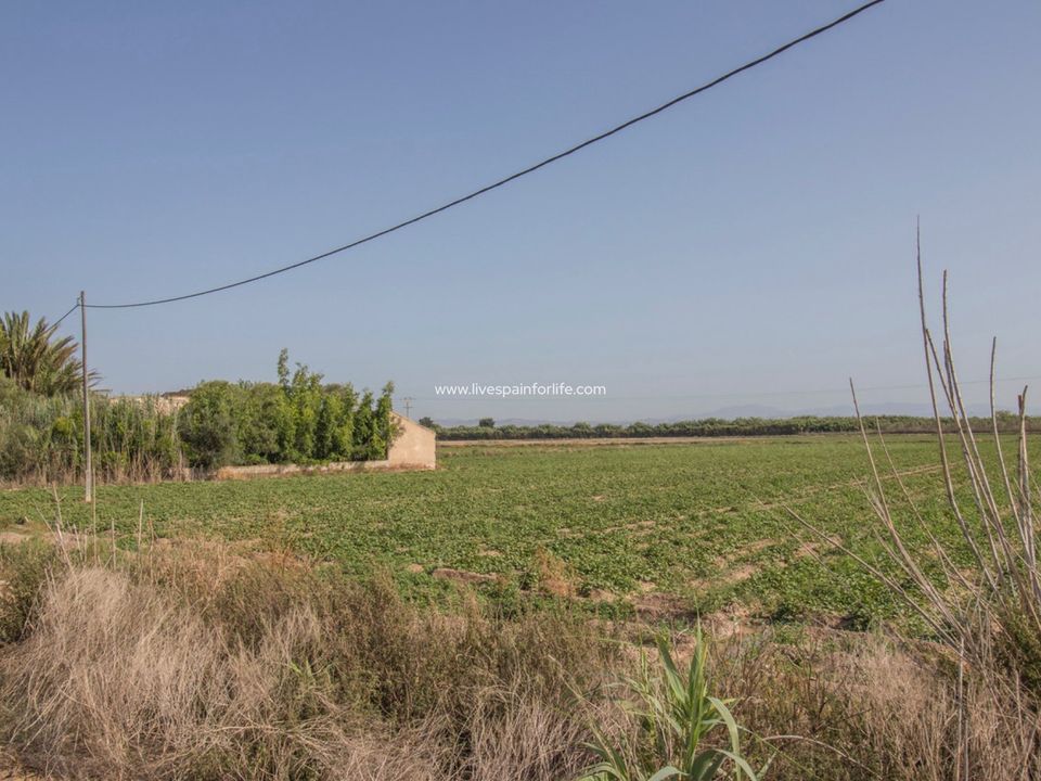 Helårsgrund i San Fulgencio, Alicante - foto 4