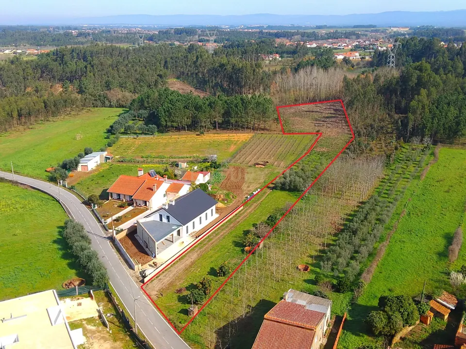 Helårsgrund i Anadia, Aveiro - foto 2