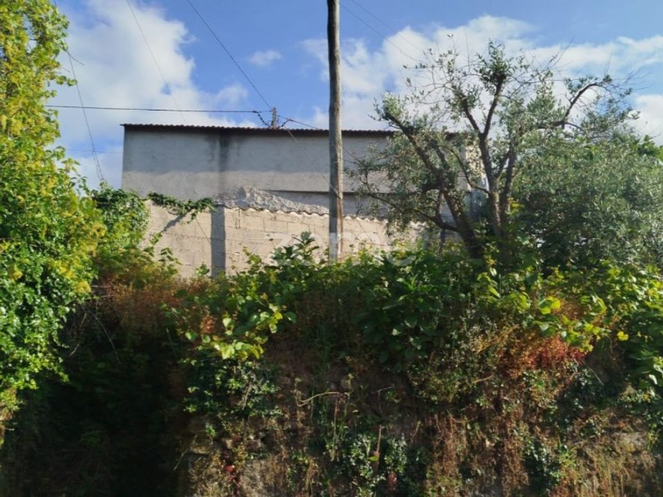 Villa i Tavares (Chas, Varzea e Travanca), Viseu - foto 5