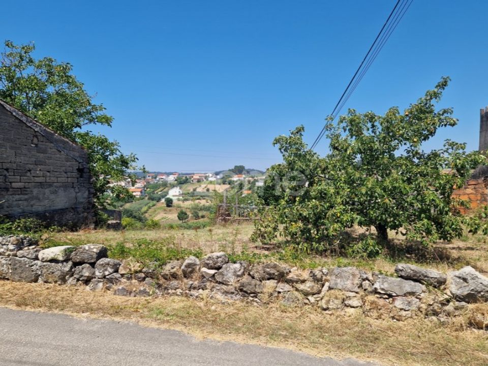Helårsgrund i Soure, Coimbra - foto 1