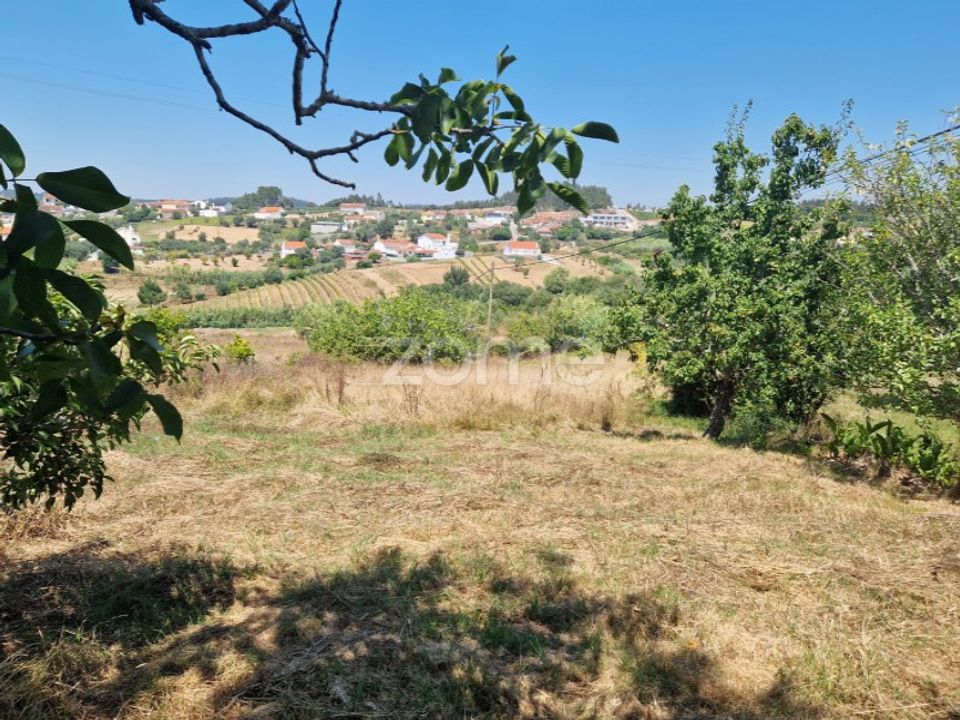 Helårsgrund i Soure, Coimbra - foto 3