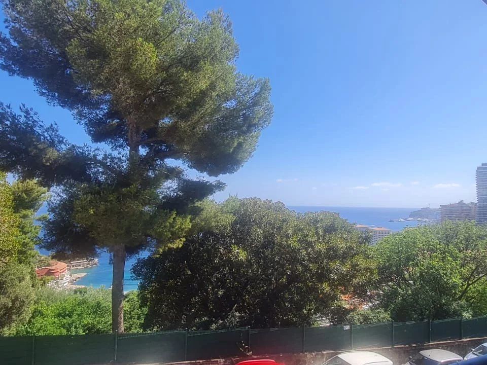 Lejlighed i Roquebrune-Cap-Martin, Alpes-Maritimes - foto 1